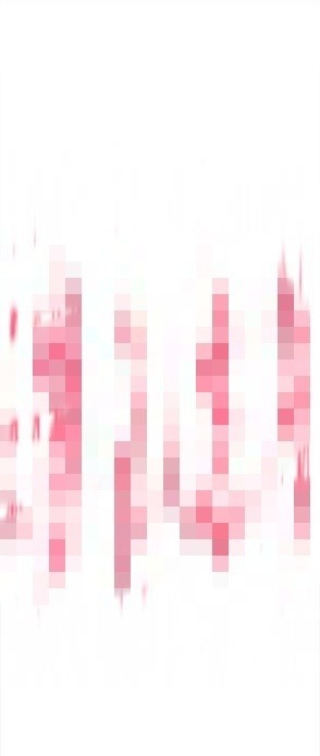 少妇乐乐 第1张