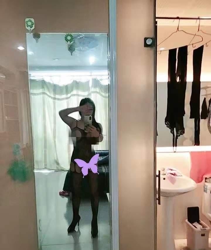 验证倾城白玫 第1张